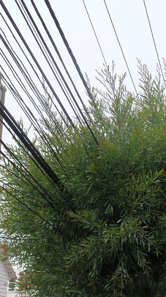 La Paz walk Stevs (22).JPG